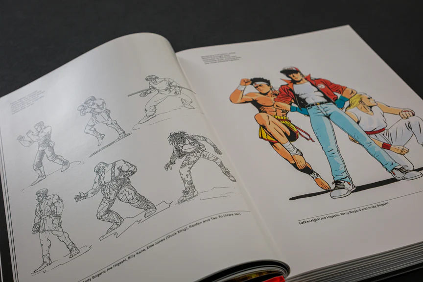 FATAL FURY/GAROU DENSETSU: THE ULTIMATE HISTORY (COLLECTOR'S EDITION)