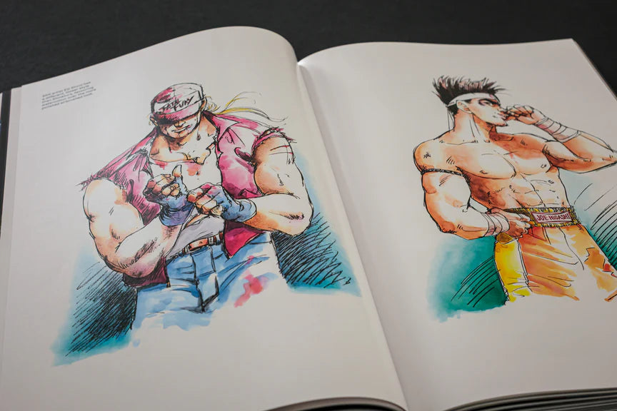 FATAL FURY/GAROU DENSETSU: THE ULTIMATE HISTORY (COLLECTOR'S EDITION)