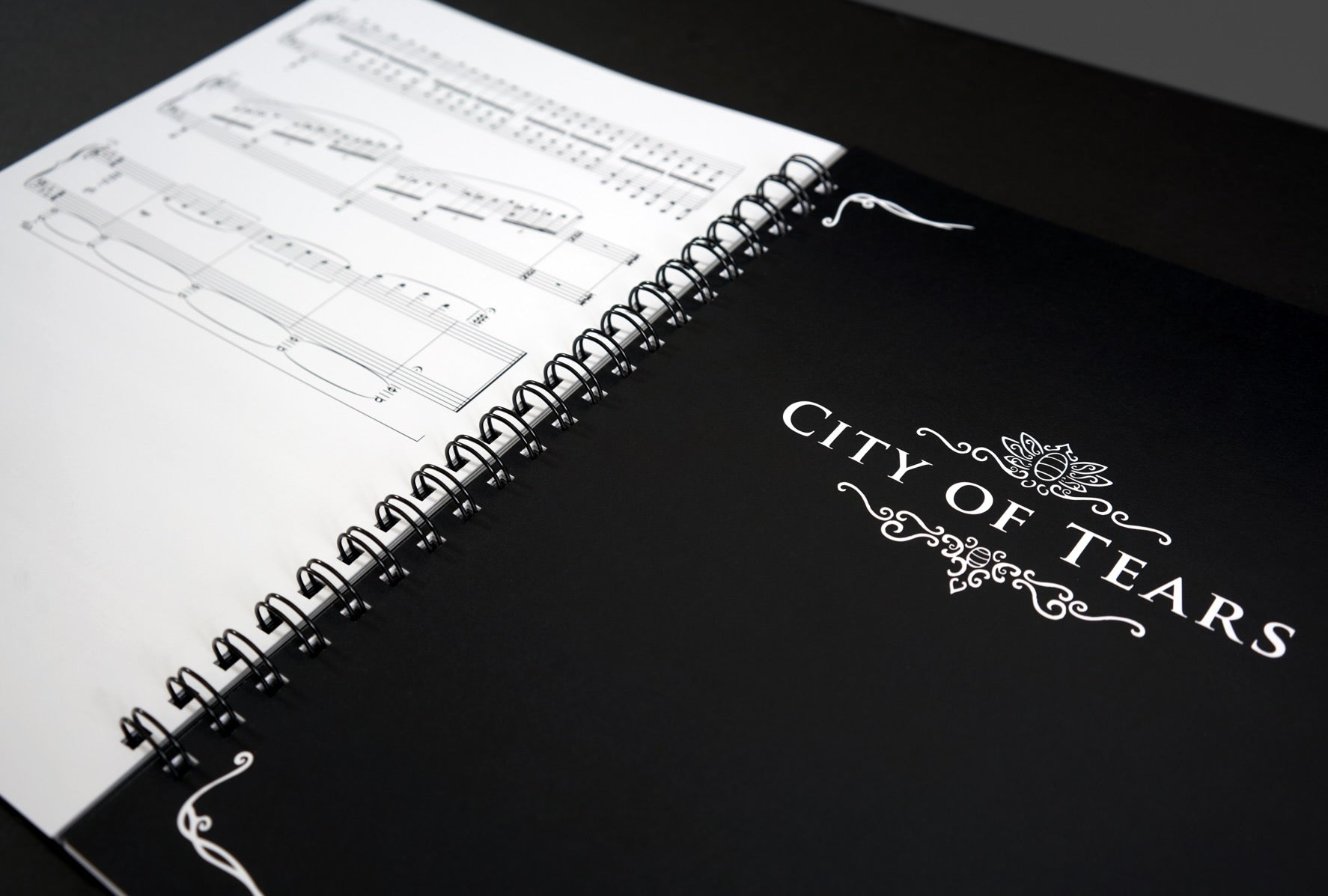 Hollow Knight Piano Collections (Performer's Edition Sheet Music Book)