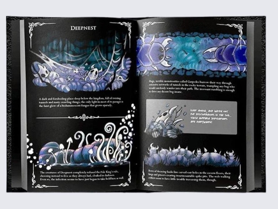 Hollow Knight Wanderer's Journal