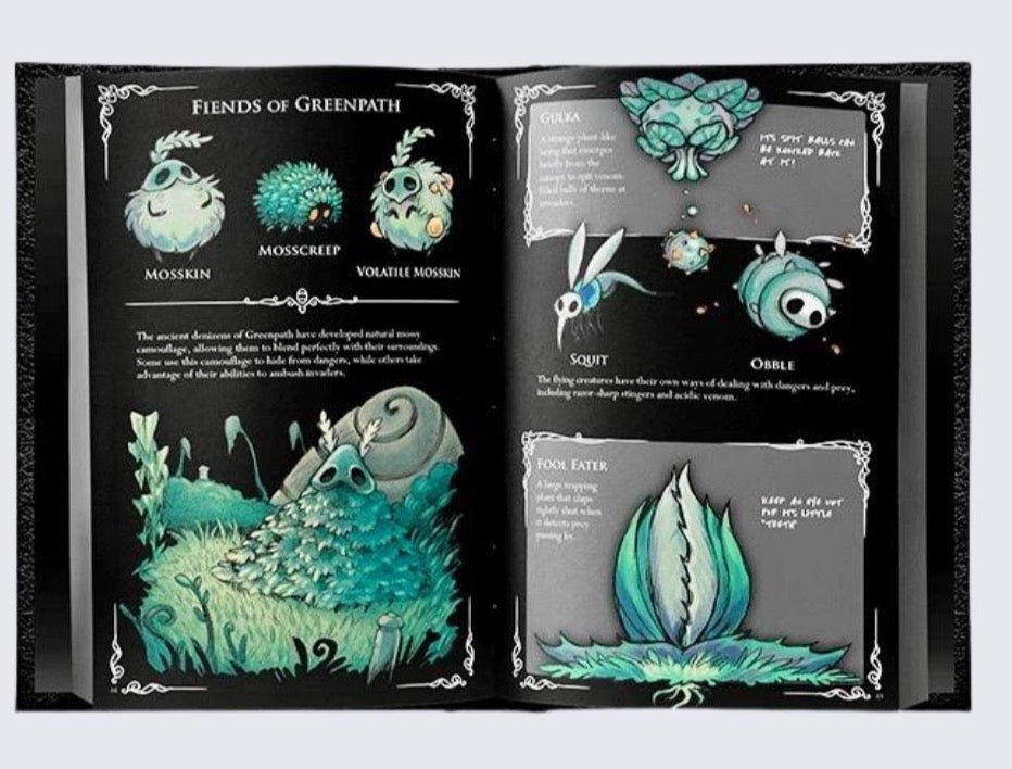 Hollow Knight Wanderer's Journal