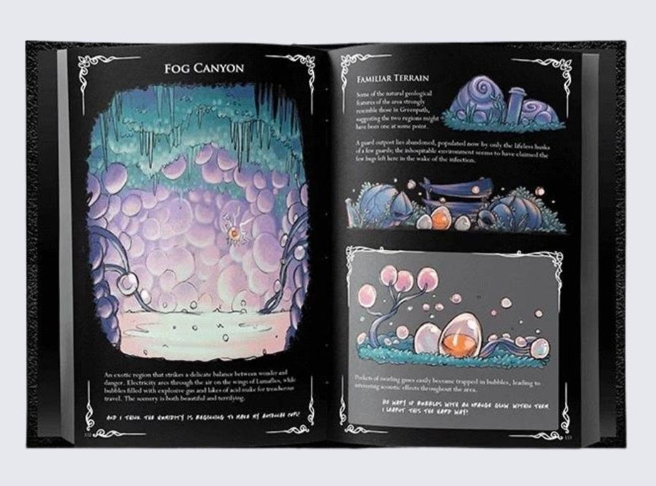 Hollow Knight Wanderer's Journal