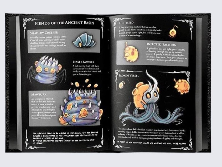 Hollow Knight Wanderer's Journal