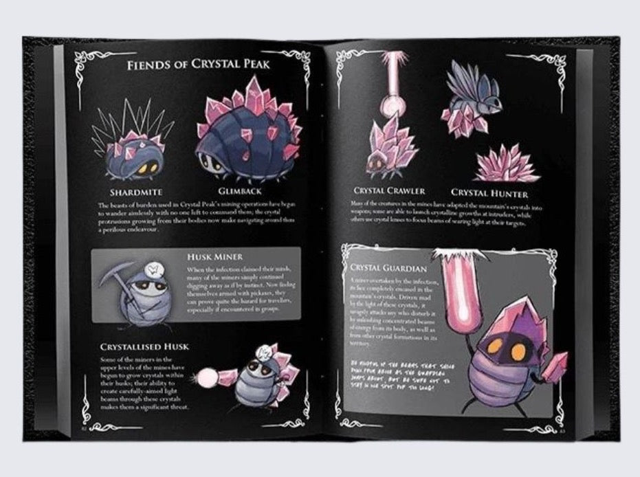 Hollow Knight Wanderer's Journal