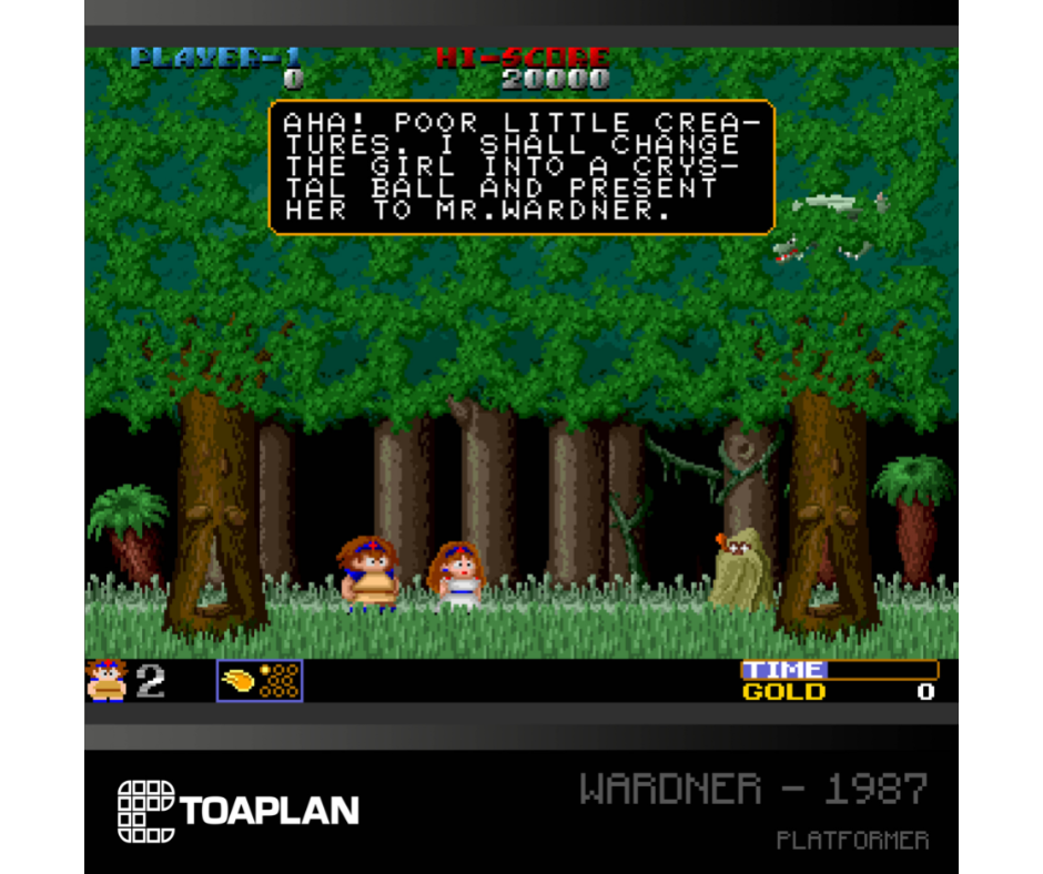 Toaplan Arcade Collection 2 - Evercade Cartridge